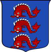 Italian Family Shield for Turco