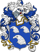 English or Welsh Coat of Arms for Judson (Salop)