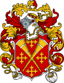 English or Welsh Coat of Arms for Newell (Ref Berry)