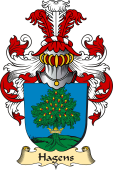 v.23 Coat of Family Arms from Germany for Hagens