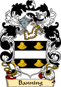 English or Welsh Family Coat of Arms (v.23) for Banning (1588)