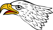 Birds of Prey Clipart image: Eagle Head