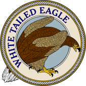 White-Tailed Sea Eagle-M