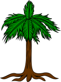 Palm Tree Eradicated
