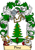English or Welsh Family Coat of Arms (v.23) for Pine