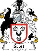 Irish Coat of Arms for Scott