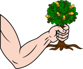 Arm Elbowed, Issuing from the Dexter, Holding Oak Tree