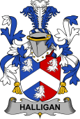 Irish Coat of Arms for Halligan or O'Halligan