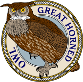 Great Horned Owl-M