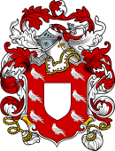 English or Welsh Coat of Arms for Chadwick