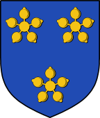 English Family Shield for Bardolf (e)