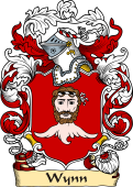 English or Welsh Family Coat of Arms (v.23) for Wynn