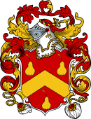 English or Welsh Coat of Arms for Abbot (1654)