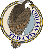 Birds of Prey Clipart image: Chilean Sea Eagle-M