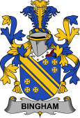 Irish Coat of Arms for Bingham