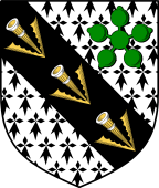 Irish Family Shield for Bland (Kerry)