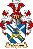 v.23 Coat of Family Arms from Germany for Pechmann