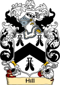 English or Welsh Family Coat of Arms (v.23) for Hill