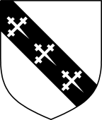 English Family Shield for Caston