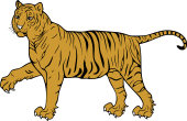 Tiger Passant