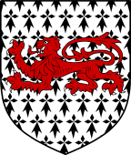 English Family Shield for Drew