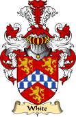 English Coat of Arms (v.23) for the family White