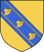 Irish Family Shield for Stoney (Tipperary)