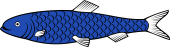 Herring (or Cob-Fish, or Sea-Cob)