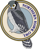 Birds of Prey Clipart image: Northern Hawk Owl-M
