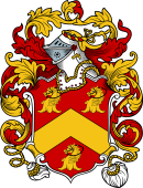 English or Welsh Coat of Arms for Tripp (London, and Tripham, Kent)