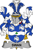 Irish Coat of Arms for Swan