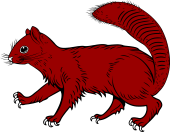 Squirrel Passant