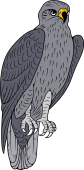 Birds of Prey Clipart image: Eurasian Hawk Eagle