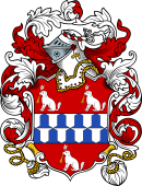 English or Welsh Coat of Arms for Riggs (Surrey and Sussex)