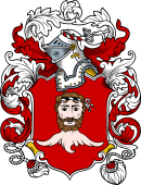English or Welsh Coat of Arms for Wynn