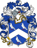 English or Welsh Coat of Arms for Duke