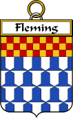 Irish Badge for Fleming