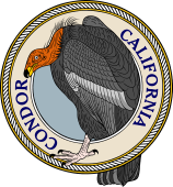 California Condor-M