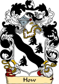 English or Welsh Family Coat of Arms (v.23) for How (or Howe)