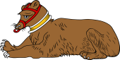 Bear Couchant Langued, Collared