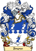 English or Welsh Family Coat of Arms (v.23) for Snow (Surrey and Berfordshire)