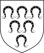 Irish Family Shield for Ferris