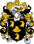English or Welsh Coat of Arms for Mitchell
