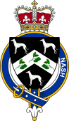 British Garter Coat of Arms for Nash (England)