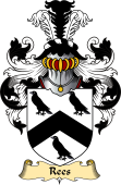 English Coat of Arms (v.23) for the family Rees or Rhys, or Rice