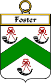 Irish Badge for Foster