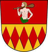 Swiss Coat of Arms for Holtzhalben