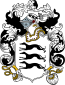 English or Welsh Coat of Arms for Brisco (or Briscoe-Cumberland)