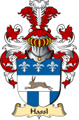 v.23 Coat of Family Arms from Germany for Hassl