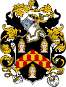 English or Welsh Coat of Arms for Wolley